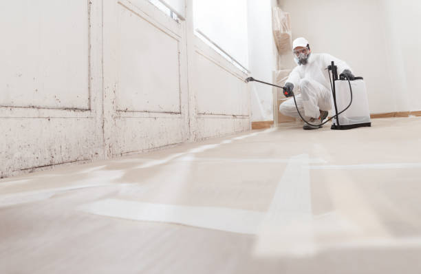 Black mold remediation team in Ickesburg